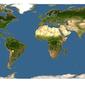 Discover Life: Point Map of Ruellia euantha